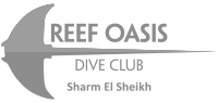 ReefOasisDiveClub